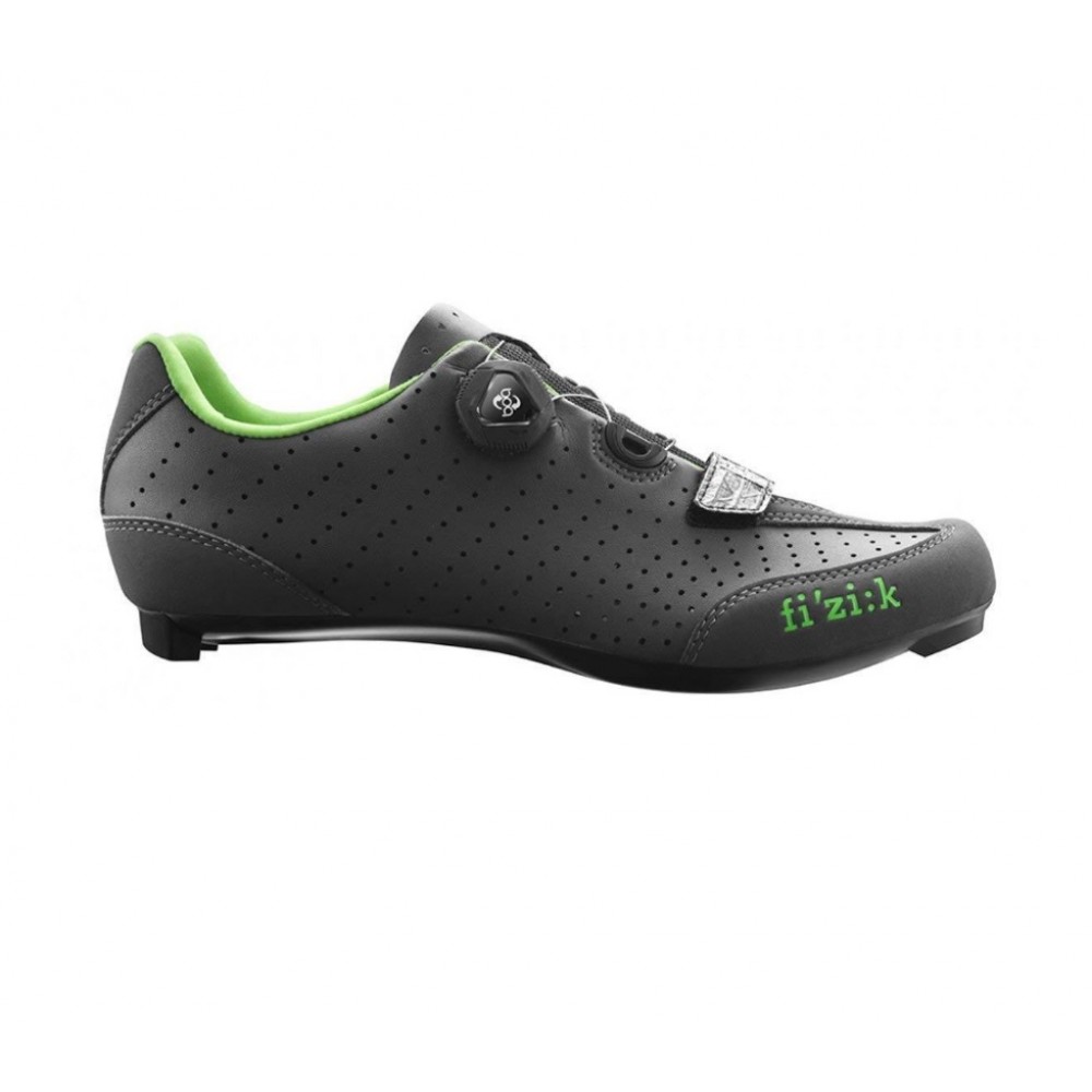 fizik r1 uomo boa