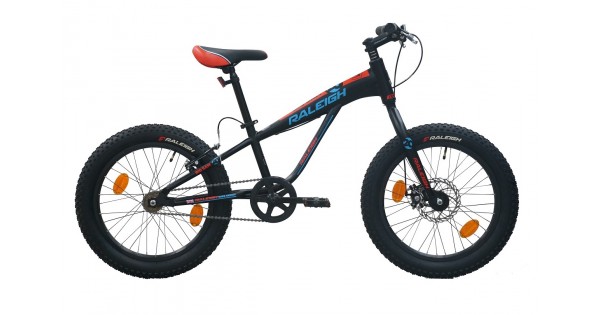 raleigh big sam fat bike price